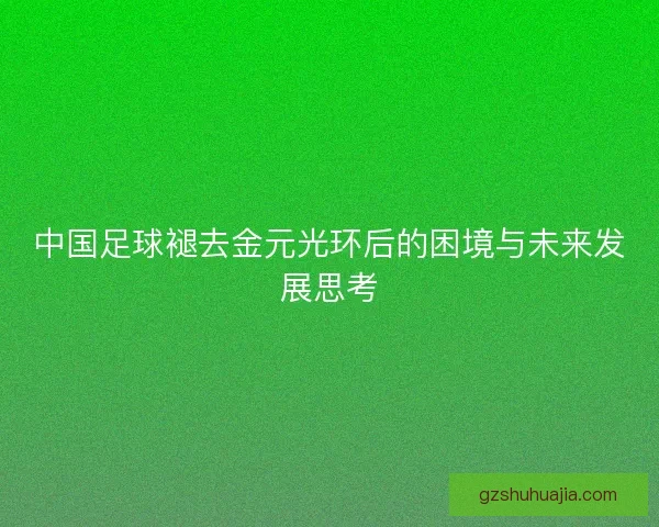 中国足球褪去金元光环后的困境与未来发展思考